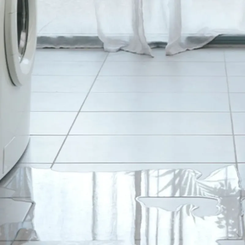 Appliance Leak Cleanup in Shelby County, IL
