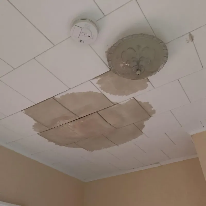Ceiling Water Damage Repair in Shelby County, IL