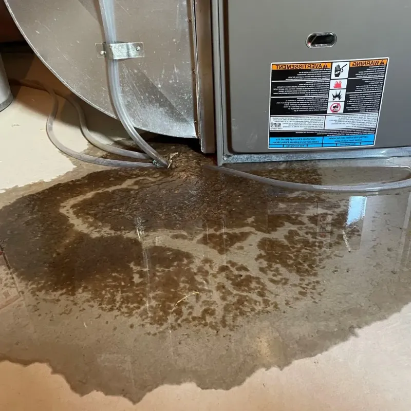Pipe Burst and Leak Restoration in Shelby County, IL