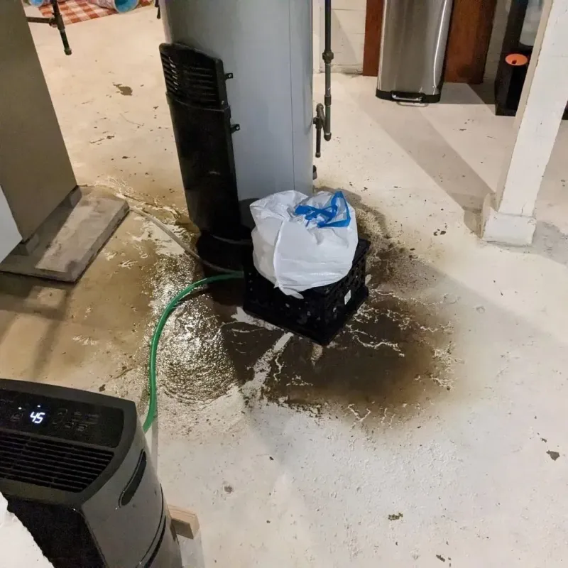 Sewage Backup Cleanup Service in Shelby County, IL